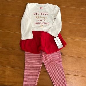 12 months carters bnwt